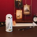 etui-na-przybory-grupo-erik-harry-potter-hedwig