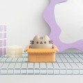 skarbonka-pusheen-grupo-erik
