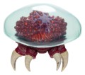 figurka-metroid-jakks-pacific-ultraviolet-glow