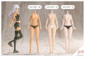model-do-zlozenia-kotobukiya-training-wolf-1-10