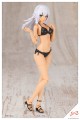 model-do-zlozenia-kotobukiya-training-wolf-1-10