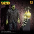 model-do-zlozenia-xplus-frankenstein-monster