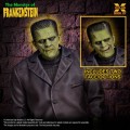 model-do-zlozenia-xplus-frankenstein-monster