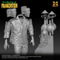 model-do-zlozenia-xplus-frankenstein-monster