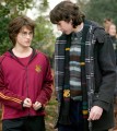 Harry Potter Scarf Hogwarts Cinereplicas 190 cm