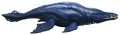 Mattel Jurassic World Wild Roar Brachauchenius Figurka 30,5 cm