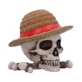 na przechowywanie One Piece Luffy Jolly Roger Pudełko Nemesis Now