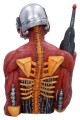 Figurka Iron Maiden Bust Somewhere In Time Nemesis Now