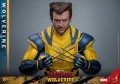 Hot Toys Figurka Wolverine Deluxe 31 cm