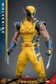 Wolverine Deluxe Figurka Hot Toys 31 cm