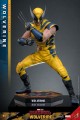 Hot Toys Figurka Wolverine Deluxe 31 cm