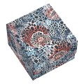 Sidewinder Coral Places Pudełko Ultimate Guard