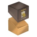 Boulder 100+ Harry Potter - Hufflepuff Ultimate Guard