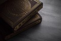 Theory 11 Playing Cards Medallion Theory11