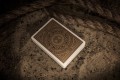 Theory 11 Playing Cards Medallion Theory11