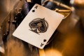 Theory11 Theory 11 Playing Cards Navigator
