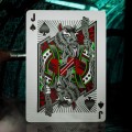 Teenage Mutant Ninja Turtles Playing Cards Theory11