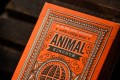 Theory 11 Playing Cards Animal Kingdom Theory11