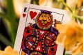 Theory11 Theory 11 Playing Cards Animal Kingdom