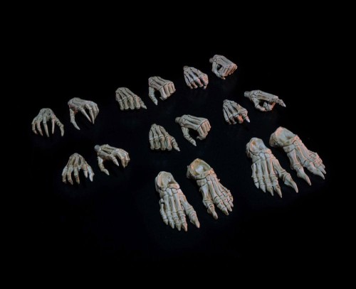 Figurka Four Horsemen Toy Design Mythic Legions: Necronominus Accessory Skeletons of Necronominus Hands/Feet Pack