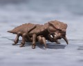 figurka-godzilla-sh-monsterarts-megaguirus-evolution-set