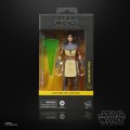 figurka-hasbro-black-series-star-wars-qunlan-vos