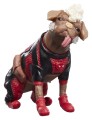 figurka-marvel-legends-deadpool-i-dogpool-15cm