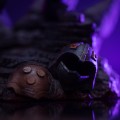 statua-iron-studios-art-scale-masters-of-the-universe-faker