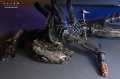 figurka-collectorska-neca-alien-romulus-xenomorph-xx121-18-cm