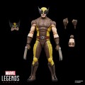 figurka-marvel-legends-wolverine-brazowy-kostium-15-cm