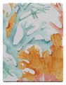 skrzynka-ultimate-guard-rte-boulder-100-coral-places-coralline-eden