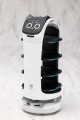 model-kotobukiya-grande-scale-bellabot-19-cm