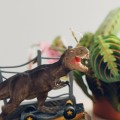 kalendarz-3d-jurassic-park-12x17x17