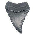 medalion-fanatikk-jaws-50th-anniversary-rekin-90x70-mm