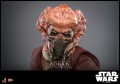 figurka-kolekcjonerska-hot-toys-plo-koon-31-cm