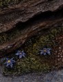 figurka-weta-workshop-the-dark-crystal-jen-22-cm