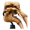 figurka-statuetka-wladca-pierscieni-czaszka-mumaka-15-cm