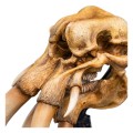 figurka-statuetka-wladca-pierscieni-czaszka-mumaka-15-cm