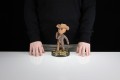 figurki-fallout-the-ghoul-20-cm