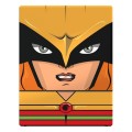pudelko-na-karty-squaroes-dc-justice-league-hawkgirl