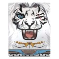 pudelko-na-karty-squaroes-magic-ajani
