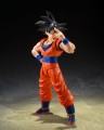 figurki-dragon-ball-z-son-goku