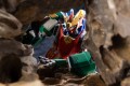 model-kotobukiya-the-red-ranger-adventurer-maximum-kizuna-kaiser