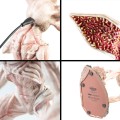 lampa-grupo-erik-stranger-things-demogorgon