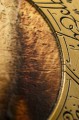 moneta-lord-of-the-rings-druzyna-pierscienia