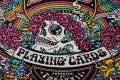 karty-do-gry-theory11-grateful-dead