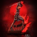 statuetka-assassins-creed-animus-naoe-1-8