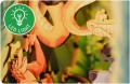 disney-ksiega-dzungli-diorama-ksiazkowa