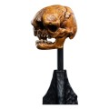 figurka-weta-lotr-czaszka-goblina
