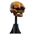 figurka-weta-lotr-czaszka-goblina